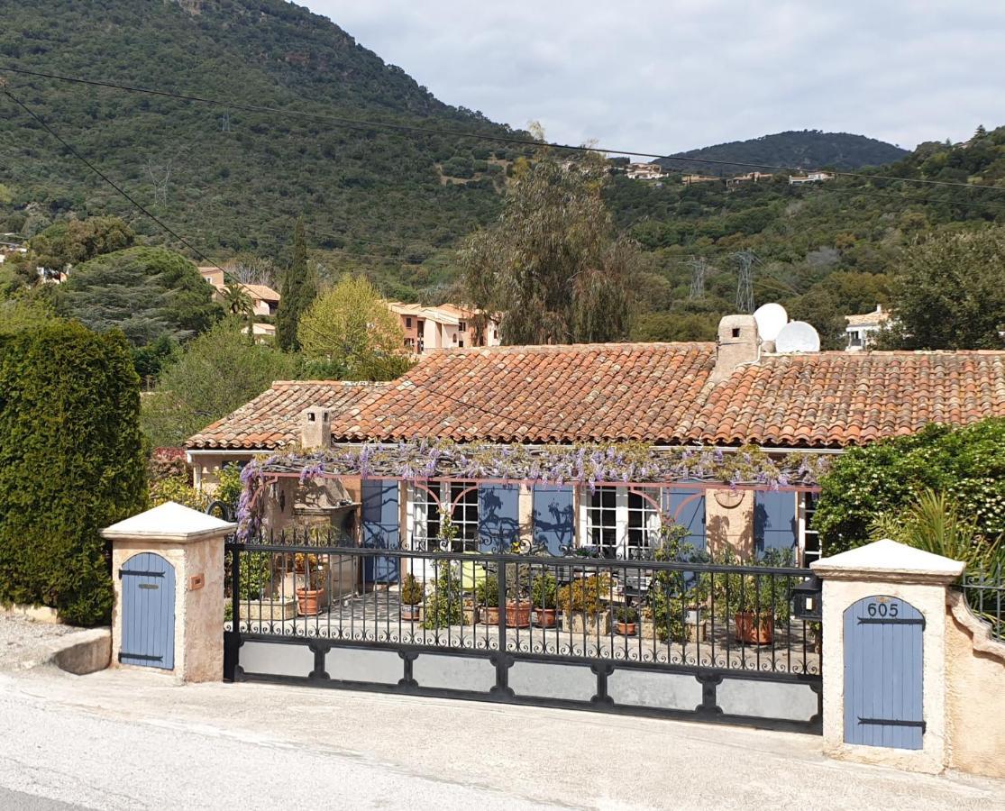 Maison Provencale كافالير سور مير المظهر الخارجي الصورة