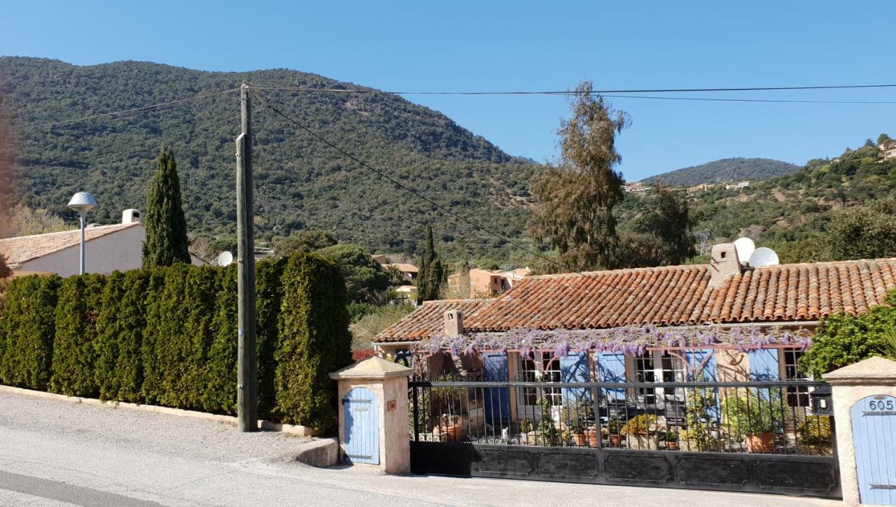 Maison Provencale كافالير سور مير المظهر الخارجي الصورة